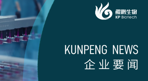 龙8唯一官网生物胰岛素注射液试生产顺利完成 开启生物制药新里程