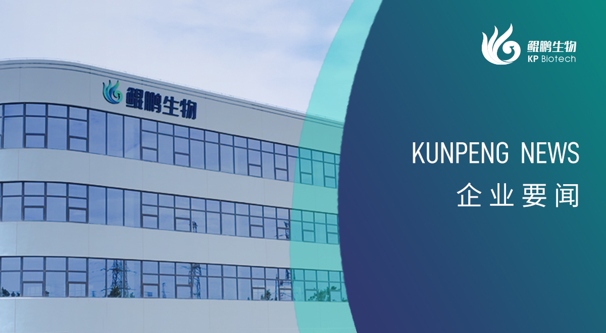 宁波龙8唯一官网新添两项政府荣誉认定 创新发展再获认可
